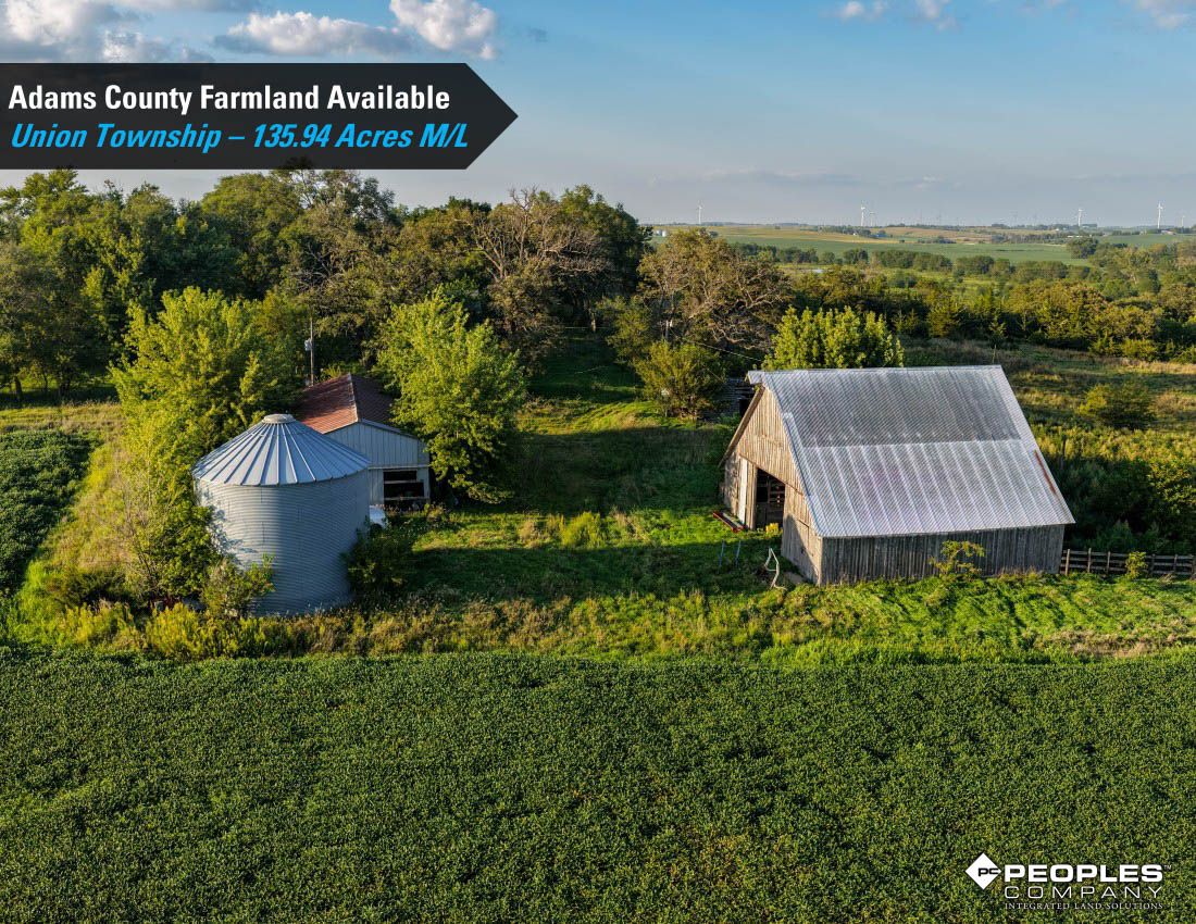 Listing Photo: Adams-County-Iowa-Farmland-Available-136-Acres-Blazek-Estate-19707 (5)